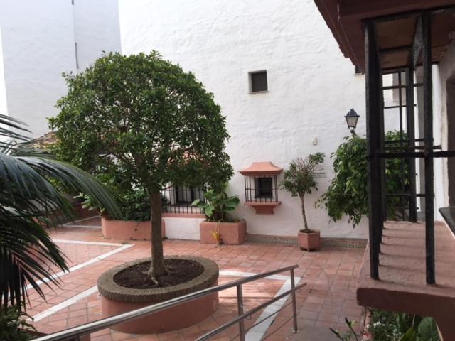 マルベーリャLarge And Elegant In Puerto Banus With Pools And Paddleアパートメント エクステリア 写真